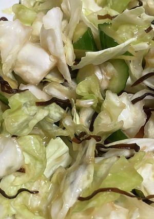 キャベツとキュウリと塩昆布-レシピのメイン写真