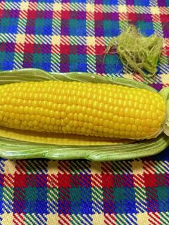 サランラップ使わないレンジでとうもろこし-レシピのメイン写真