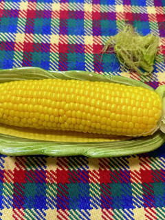 サランラップ使わないレンジでとうもろこし-レシピのメイン写真