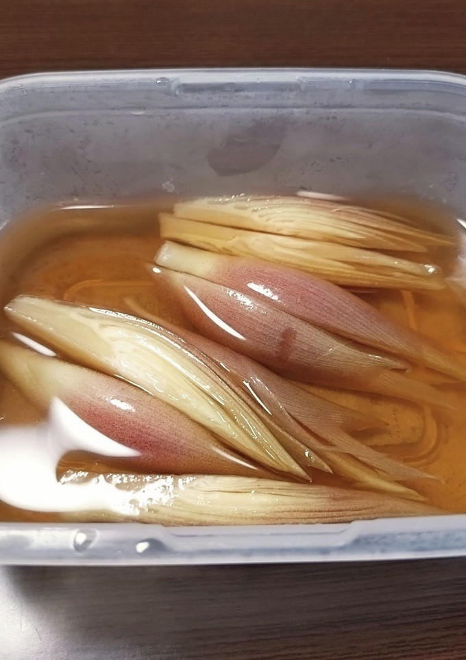 みょうがの浅漬け-レシピのメイン写真