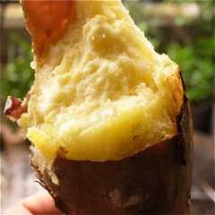 รูปของ ダッチ・ド・石焼きいも