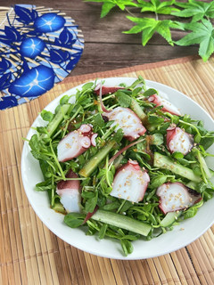 たこと豆苗ときゅうりのやみつきサラダ-レシピのメイン写真