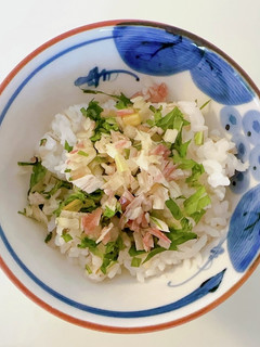 【薬味好き必見】夏のさっぱり薬味ごはん-レシピのメイン写真