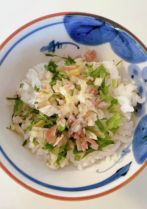 【薬味好き必見】夏のさっぱり薬味ごはん-レシピのメイン写真