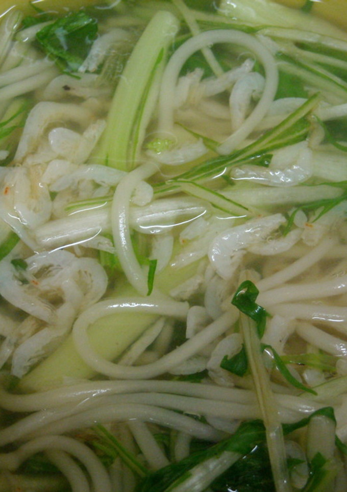 簡単小エビのにゅうめん-レシピのメイン写真