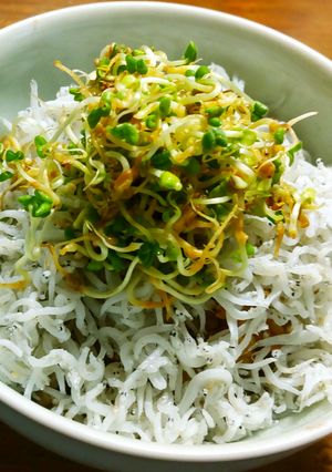 セサミスプラウト＆しらす燕麦玄米酵素ご飯-レシピのメイン写真