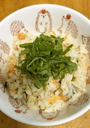 余り物には福があった☆シラスと鮭の朝ご飯-レシピのメイン写真