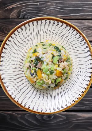 犬ご飯/サケ缶とそら豆のごはん-レシピのメイン写真