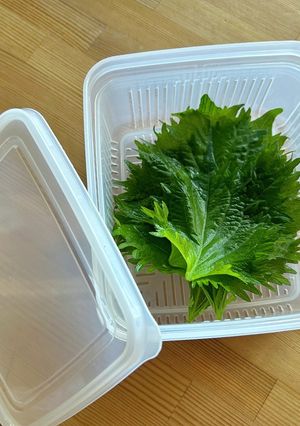 最終的に行き着いた超簡単！大葉の保存方法-レシピのメイン写真