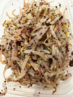 ゆかりもやし-レシピのメイン写真