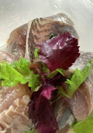 ＤＨＡ　ＥＰＡを鰯の刺身で摂取-レシピのメイン写真