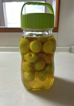 梅とりんご酢のシロップ-レシピのメイン写真