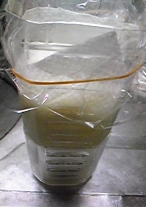 ☆ヨーグルトの水切り器☆-レシピのメイン写真