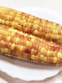 もちとうもろこしの食べ方-レシピのメイン写真