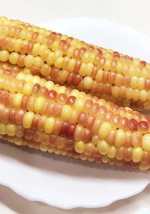 もちとうもろこしの食べ方-レシピのメイン写真