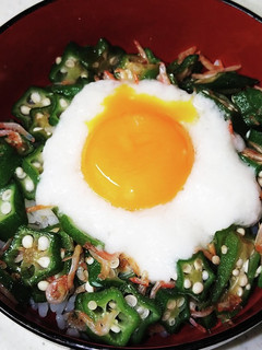 トロロとおくらのネバネバ丼-レシピのメイン写真