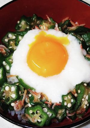 トロロとおくらのネバネバ丼-レシピのメイン写真