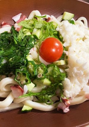 夏野菜のネバトロうどん-レシピのメイン写真