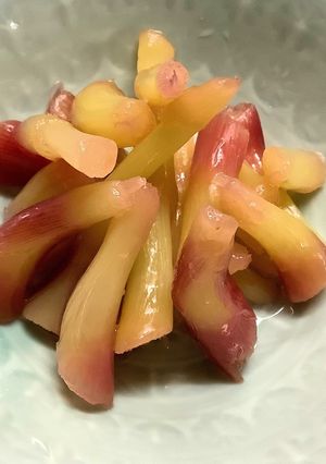 サッパリ！ミョウガの茎の甘酢漬け-レシピのメイン写真