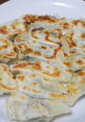 不器用破れにくい皮から作る餃子-レシピのメイン写真