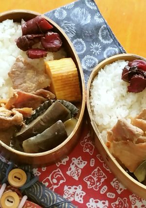 お弁当2024年7月9日-レシピのメイン写真