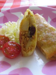 カレー春巻き サモサ風-レシピのメイン写真