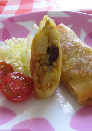 カレー春巻き サモサ風-レシピのメイン写真