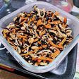 具だくさん!シンプルなひじきの煮物