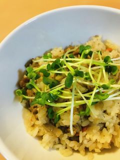 たきこみごはん●かいわれのトッピング-レシピのメイン写真