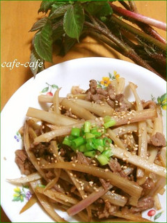 ウドと牛肉のきんぴら-レシピのメイン写真