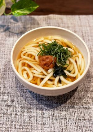 梅うどん〜紫蘇も添えてさっぱり♡-レシピのメイン写真