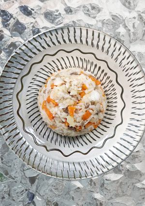犬ご飯/低脂質な腎臓ケアごはん-レシピのメイン写真