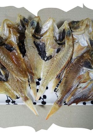 私好みの夢カサゴ干物-レシピのメイン写真