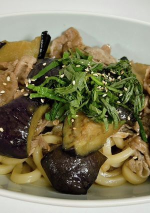 温かい揚げなすうどん-レシピのメイン写真