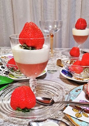 美容系レアチーズゼリー -レシピのメイン写真