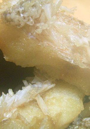あまだい（ぐじ）のから揚げ-レシピのメイン写真