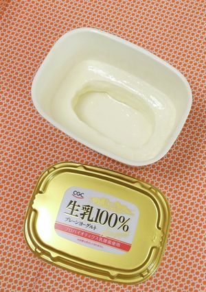 スプーン1本で作る ギリシャヨーグルト-レシピのメイン写真