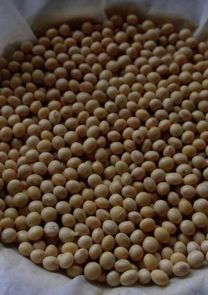 タルトストーンの代用-レシピのメイン写真