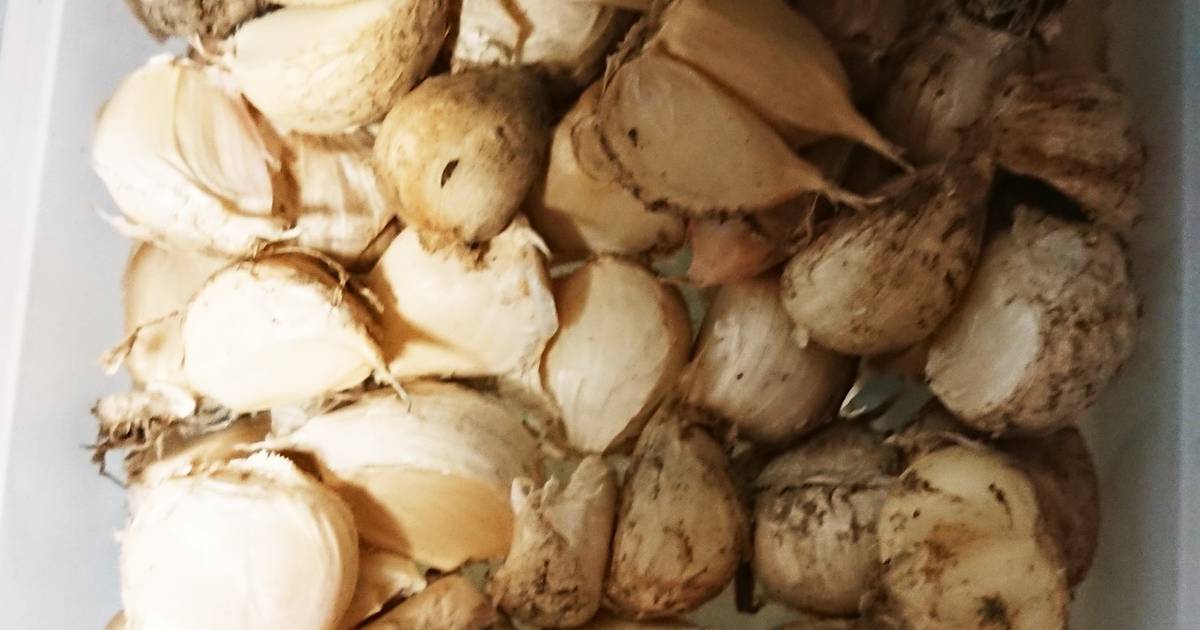 にんにく風味キープ!簡単で長持ちする保存法と美味しい活用レシピも