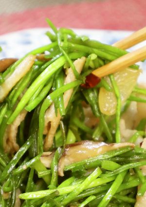 シャキシャキ!水蓮菜の炒め物【動画】-レシピのメイン写真