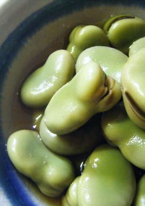そら豆の直煮-レシピのメイン写真