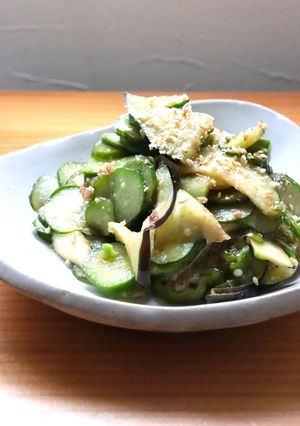 夏野菜の薄切り醤油味★生姜かつお節風味-レシピのメイン写真