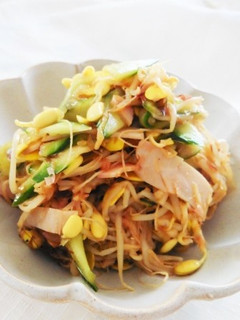 豆もやしとキュウリの味噌中華サラダ-レシピのメイン写真