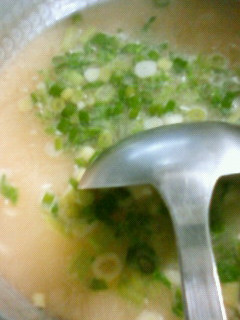大根の葉でお味噌汁-レシピのメイン写真