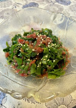 おかわかめの梅肉和え-レシピのメイン写真