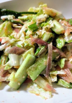 夏野菜の明太イタリアンドレッシング和え-レシピのメイン写真