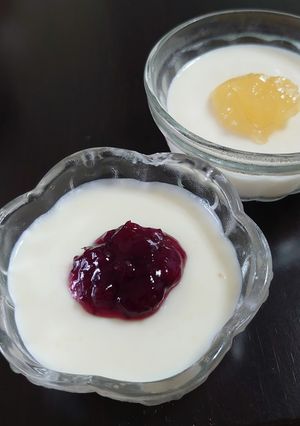 クリームチーズなし!レアチーズケーキ風-レシピのメイン写真