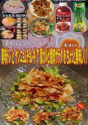 美味ドレとヤンニョムチョレギで焼肉サラダ-レシピのメイン写真