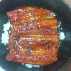 รูปของ ウナギの焼き直し方(改)