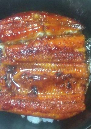 ウナギの焼き直し方(改)-レシピのメイン写真